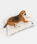 Cojín Perro Blanco para Interior y Exterior, Bela-0