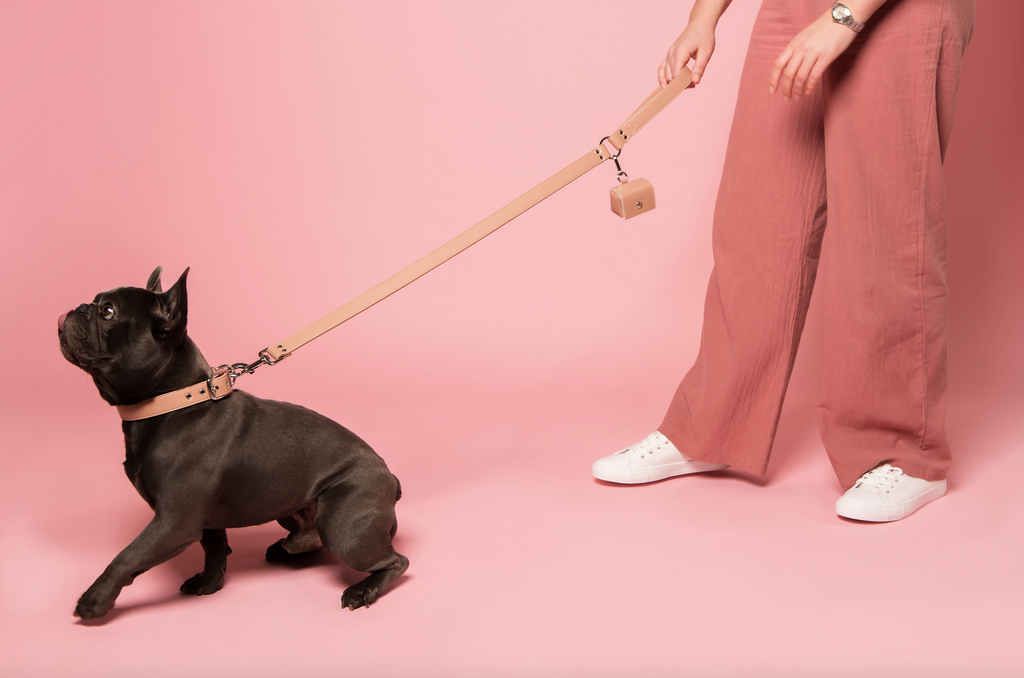 Blush pink apple leather lead pour chiens - image 4
