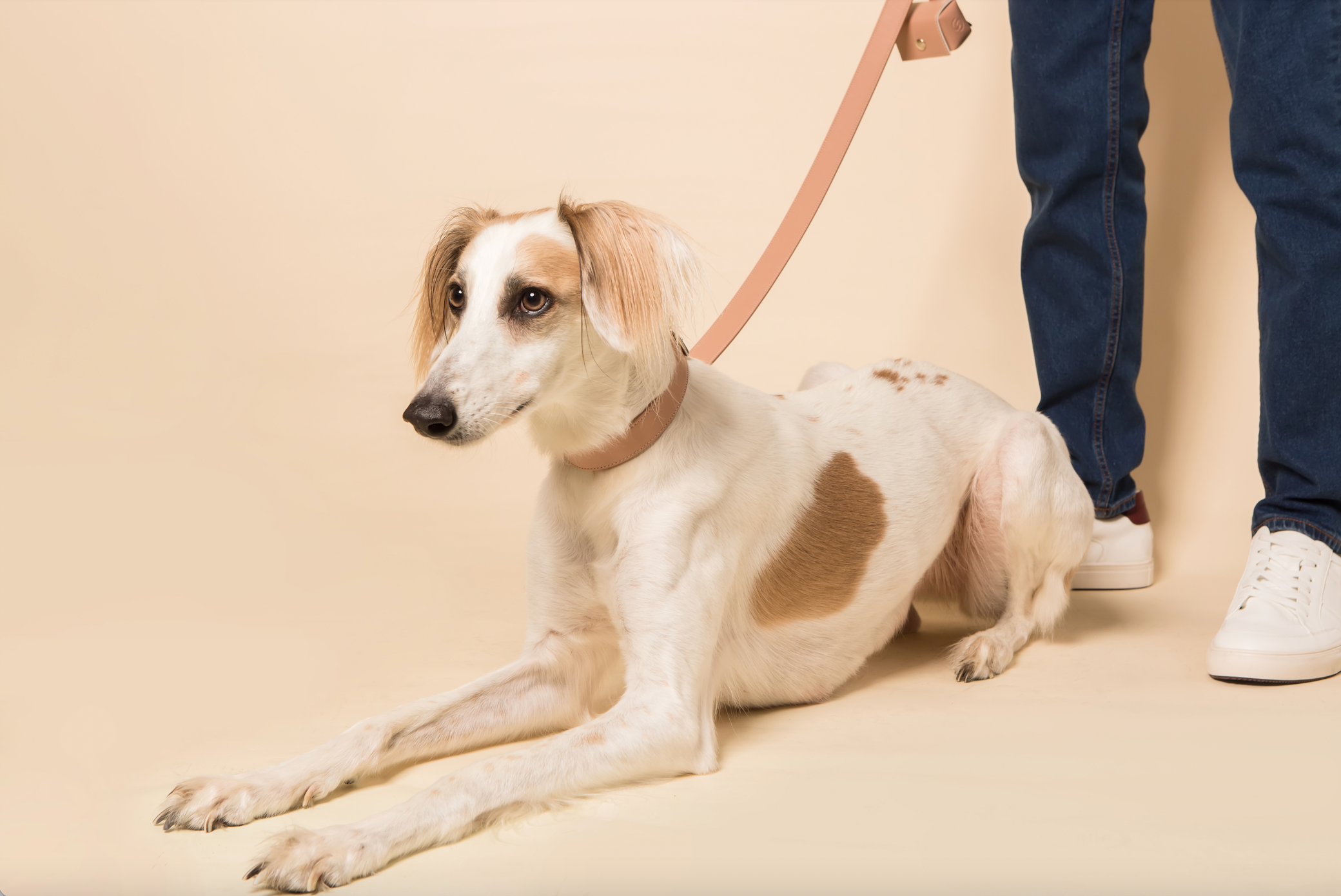 Blush pink apple leather lead for dogs - image 5