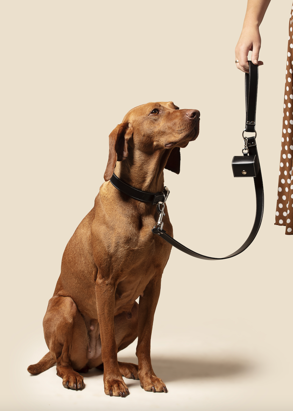 Correa de cuero vegano de manzana para perros, Slim Mediano, vista 2