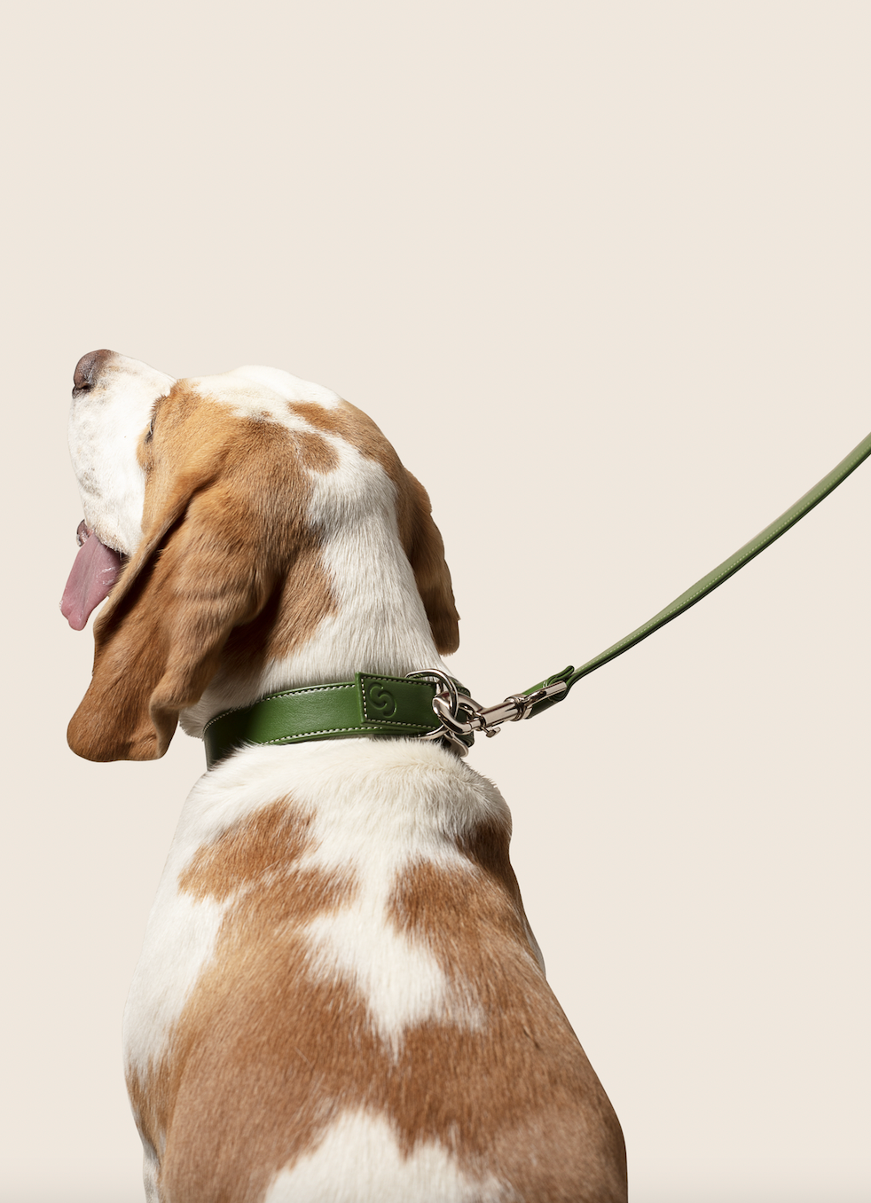 Green apple leather lead for dogs - image 5