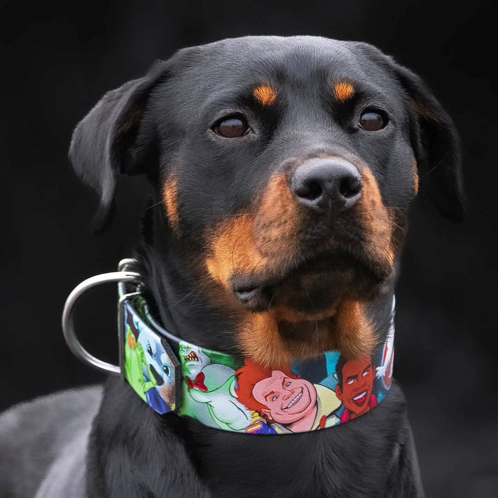 The “Ghosts” collar -LIMITED