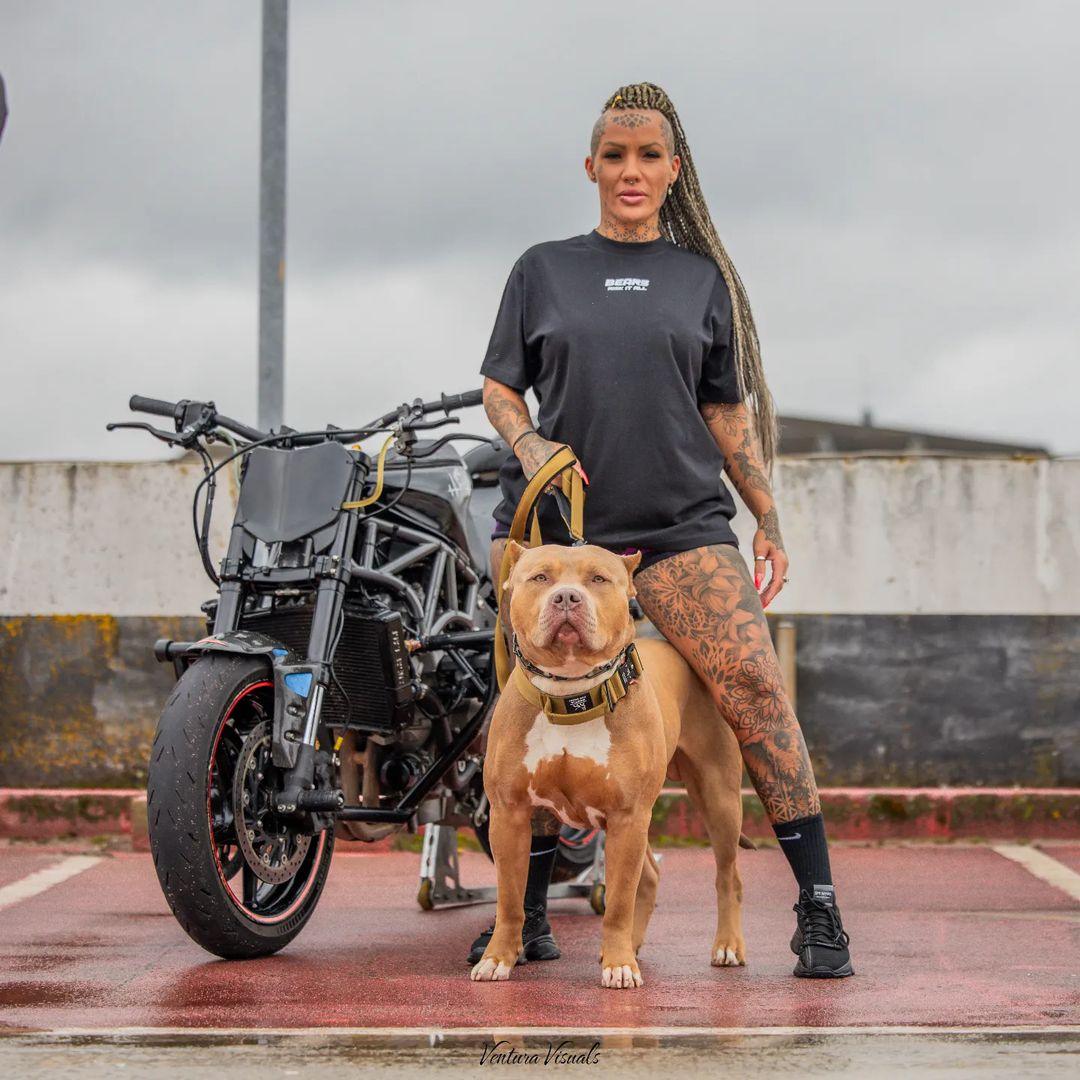 Collare regolabile morbido de nylon negro per cani - immagine 5