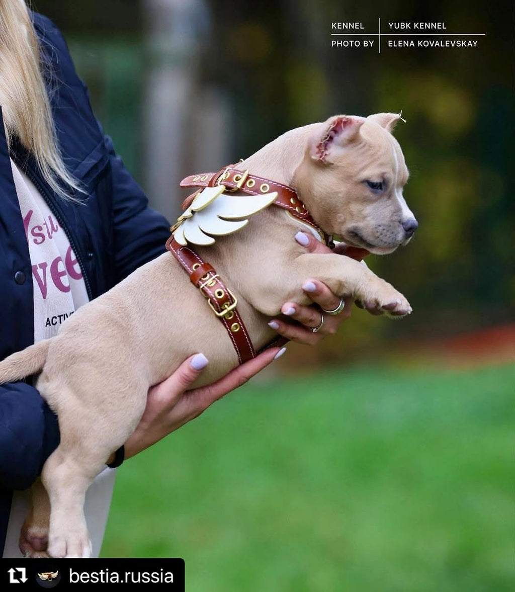 Rascador de cuerda suave de cuero para perros y gatos - imagen 3