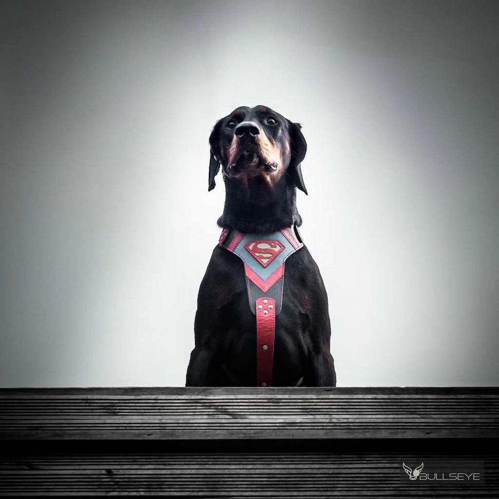 Superdog Harness fuer Hunde und Katzen - Bild 4