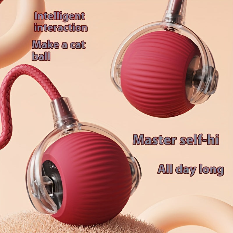 Whisker Wonders USB újratölthető interaktív macskajáték labda-1