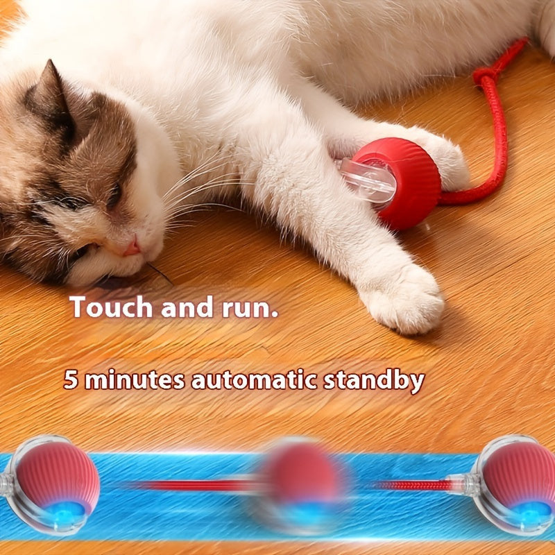 Whisker Wonders USB újratölthető interaktív macskajáték labda-2