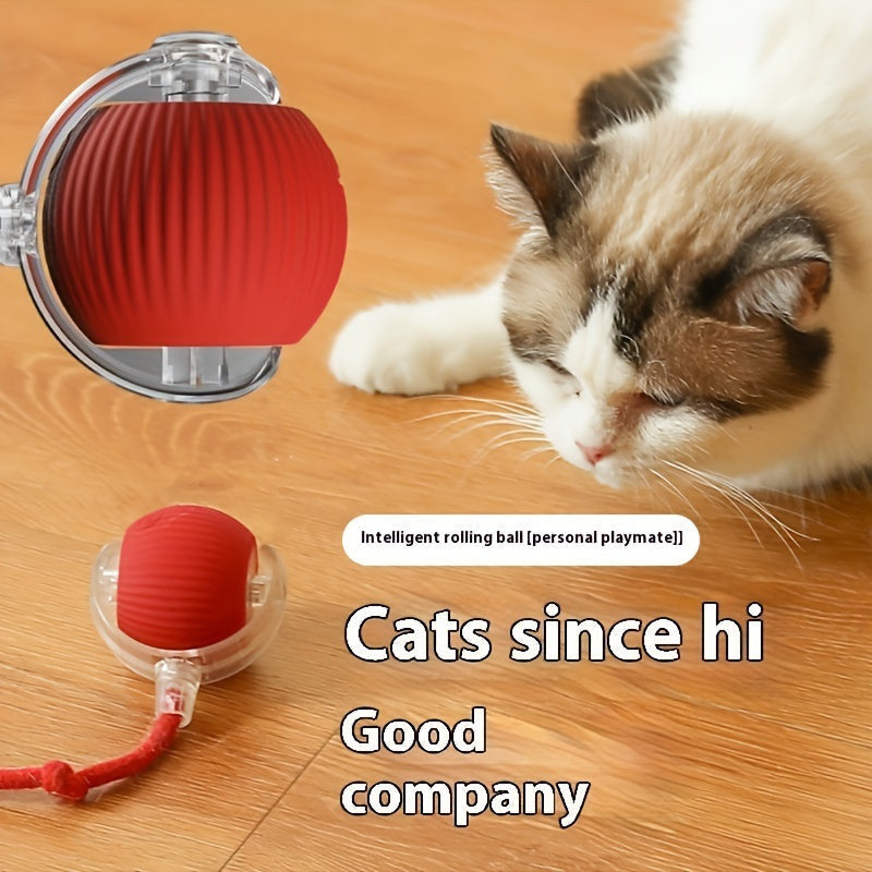 Whisker Wonders USB újratölthető interaktív macskajáték labda-5