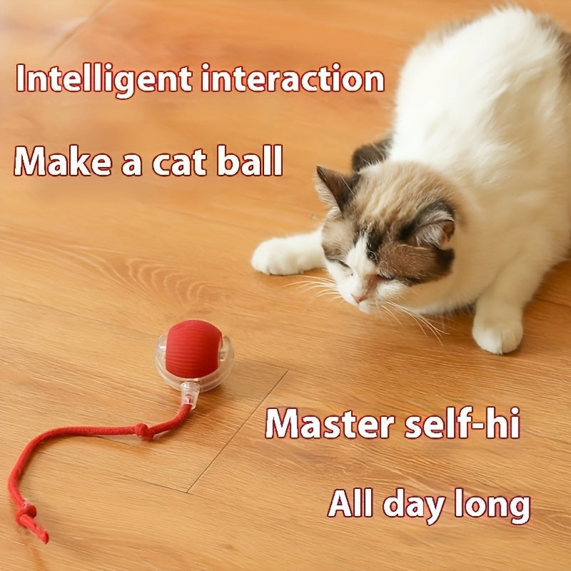 Whisker Wonders USB újratölthető interaktív macskajáték labda-6