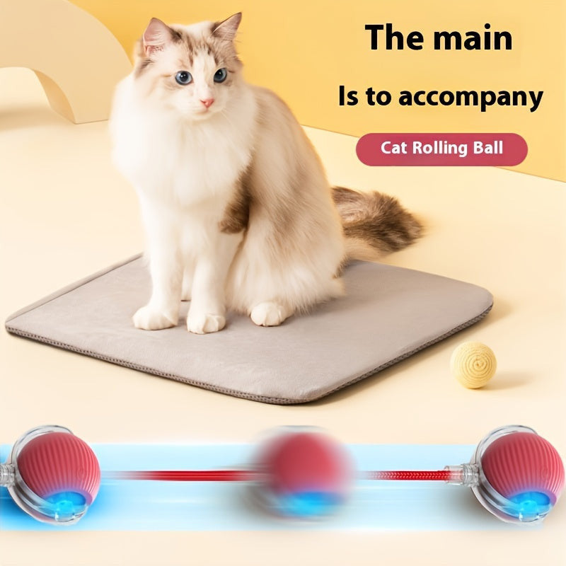 Whisker Wonders USB újratölthető interaktív macskajáték labda-8