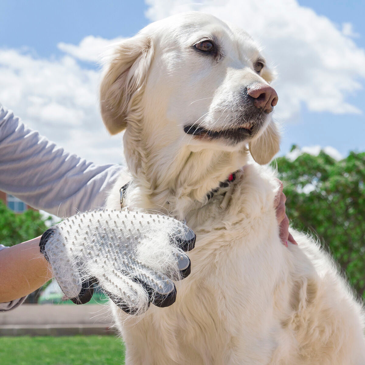 Haustier Brush & Massage Glove Relpet InnovaGoods