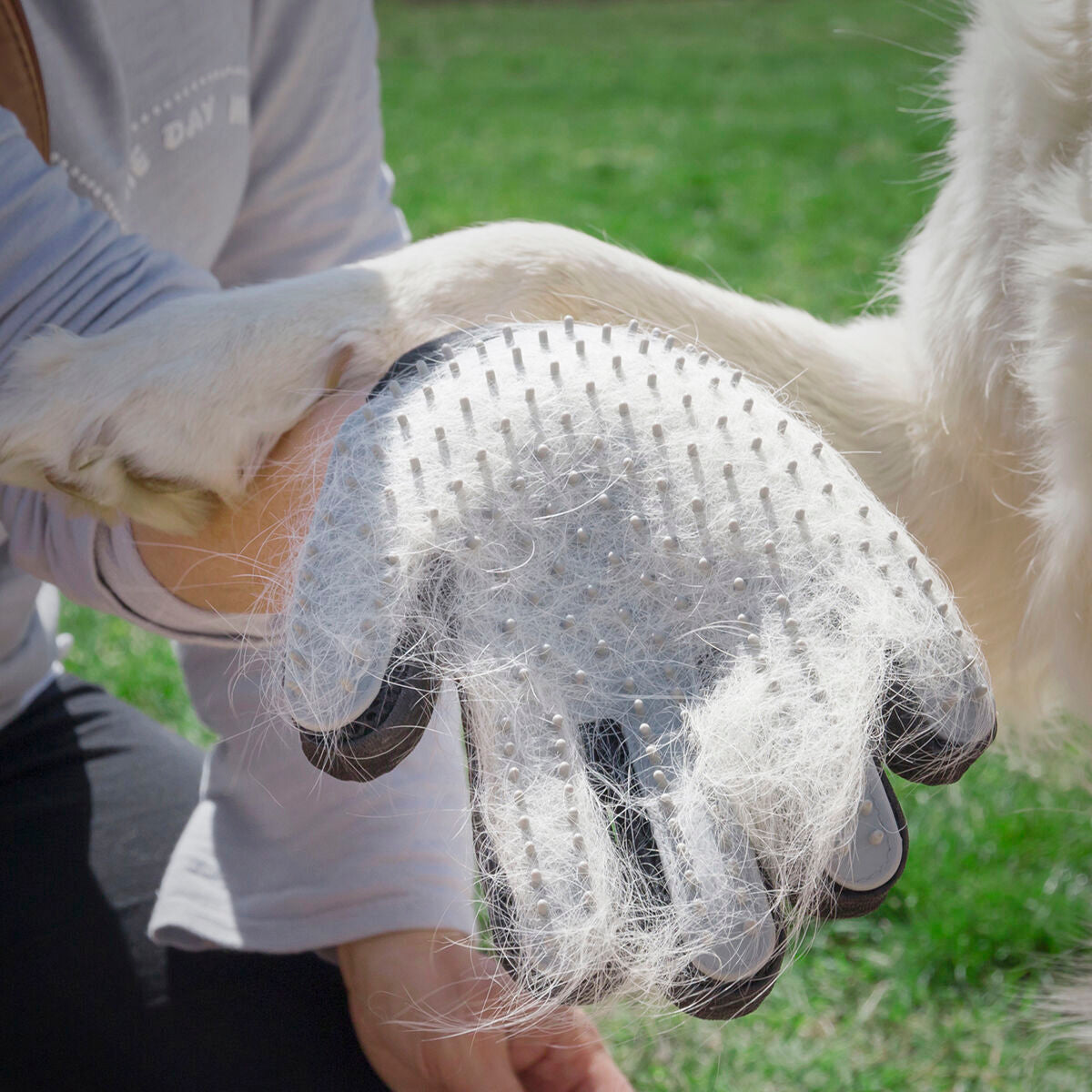Haustier Brush & Massage Glove Relpet InnovaGoods