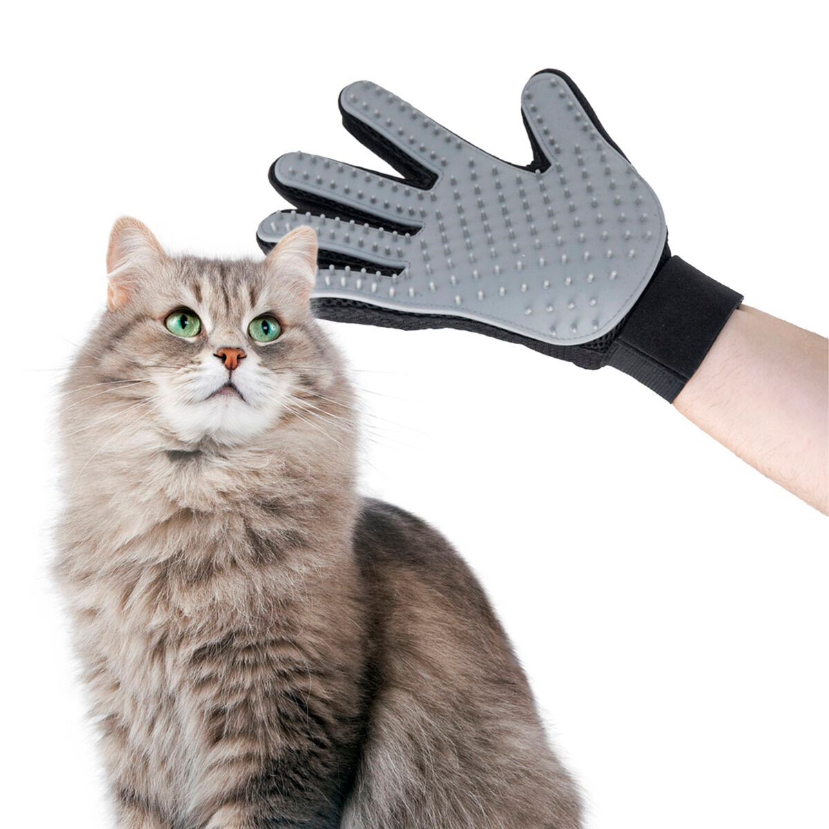 Animale Brush & Massage Glove Relpet InnovaGoods