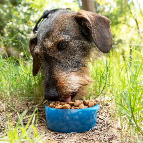 Portable feeder BPA-free de silicona azul for dogs - image 1