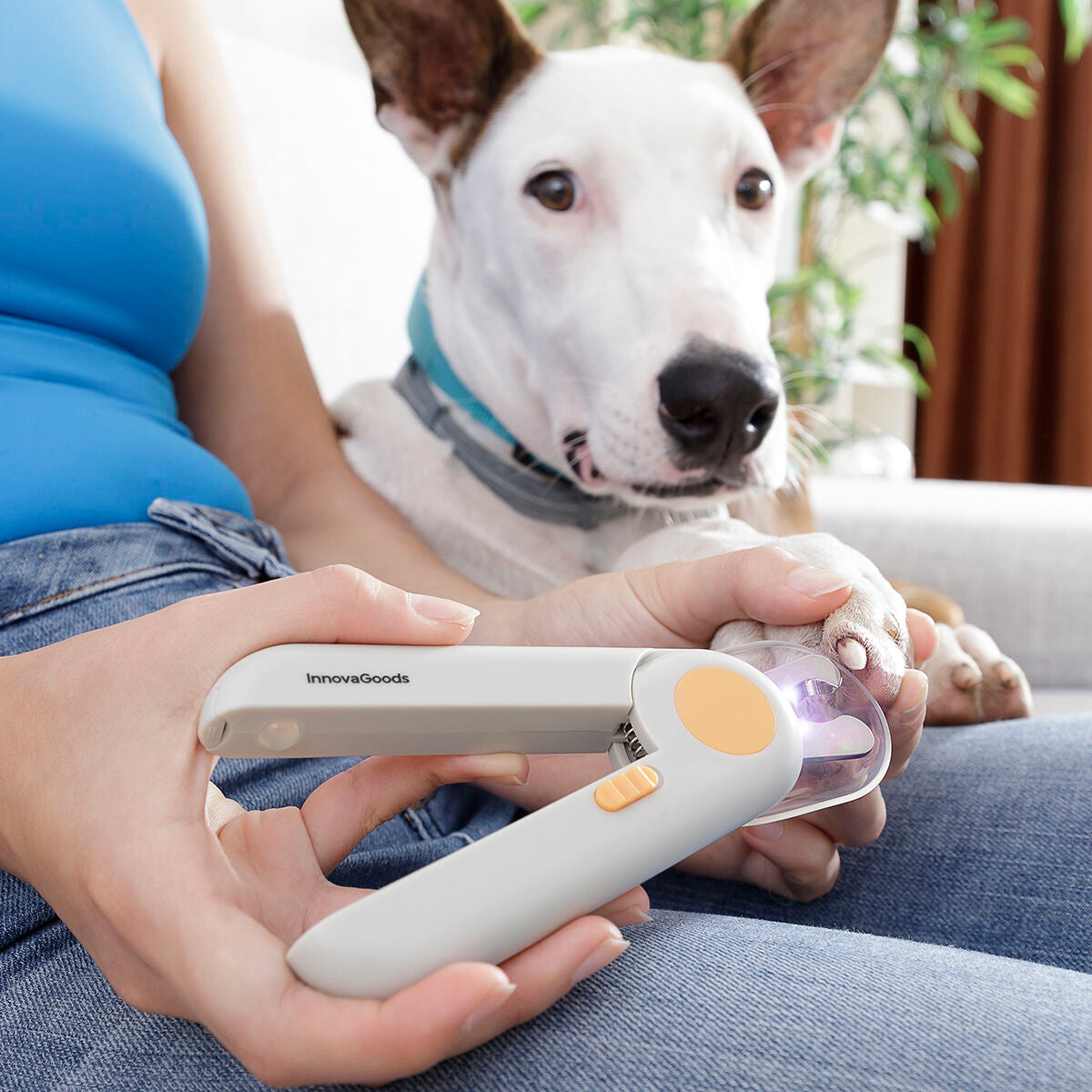Animale Nail Clippers with LED Clipet InnovaGoods