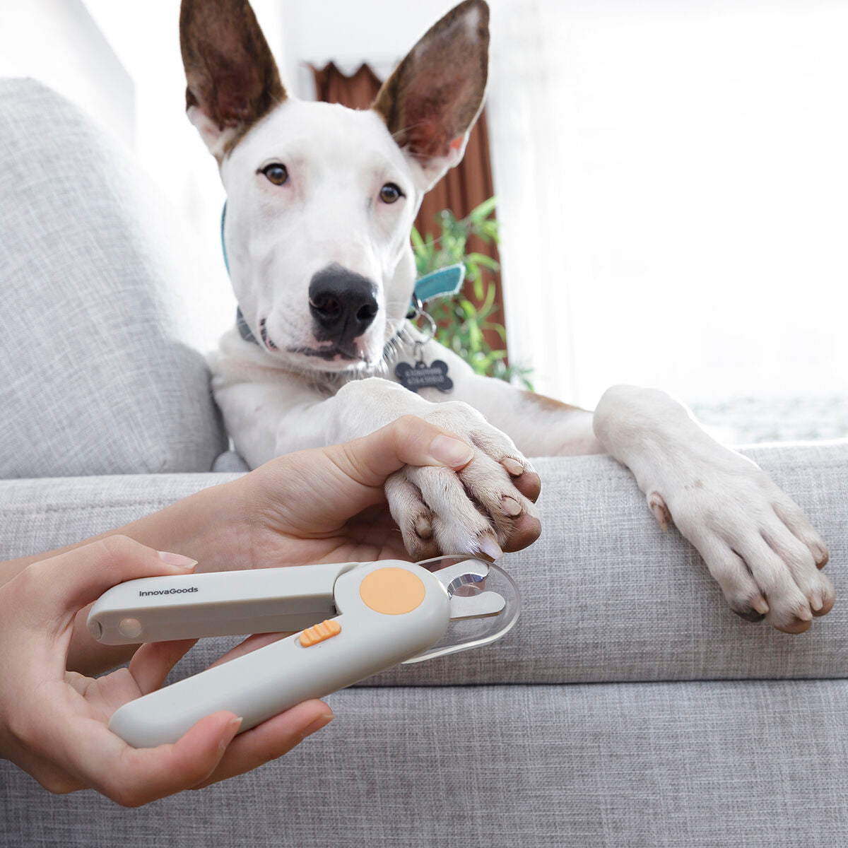Animale Nail Clippers with LED Clipet InnovaGoods