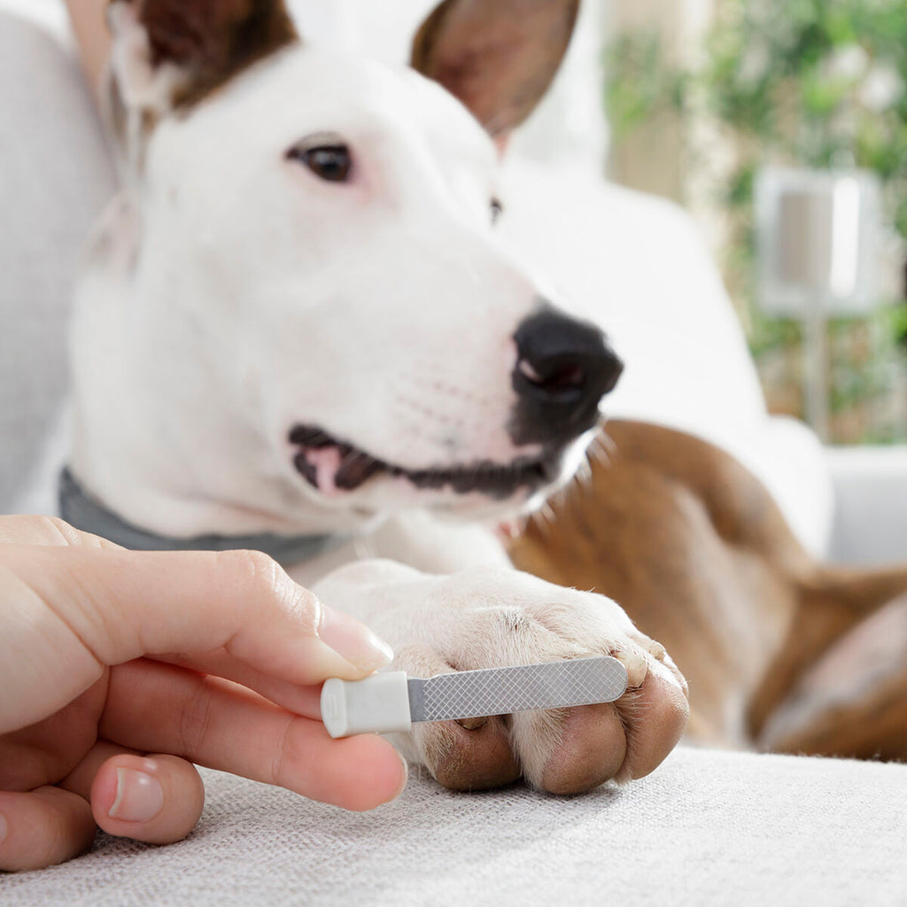 Animale Nail Clippers with LED Clipet InnovaGoods