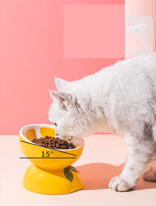 NNEDSZ Ceramic Elevated Pet Food Bowl - Cute Pitaya Pattern Design for Cats and Small Dogs-2