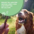 Yakstaven XL - Natuurlijke Hondensnack uit Himalaya | Woef Woef Snack