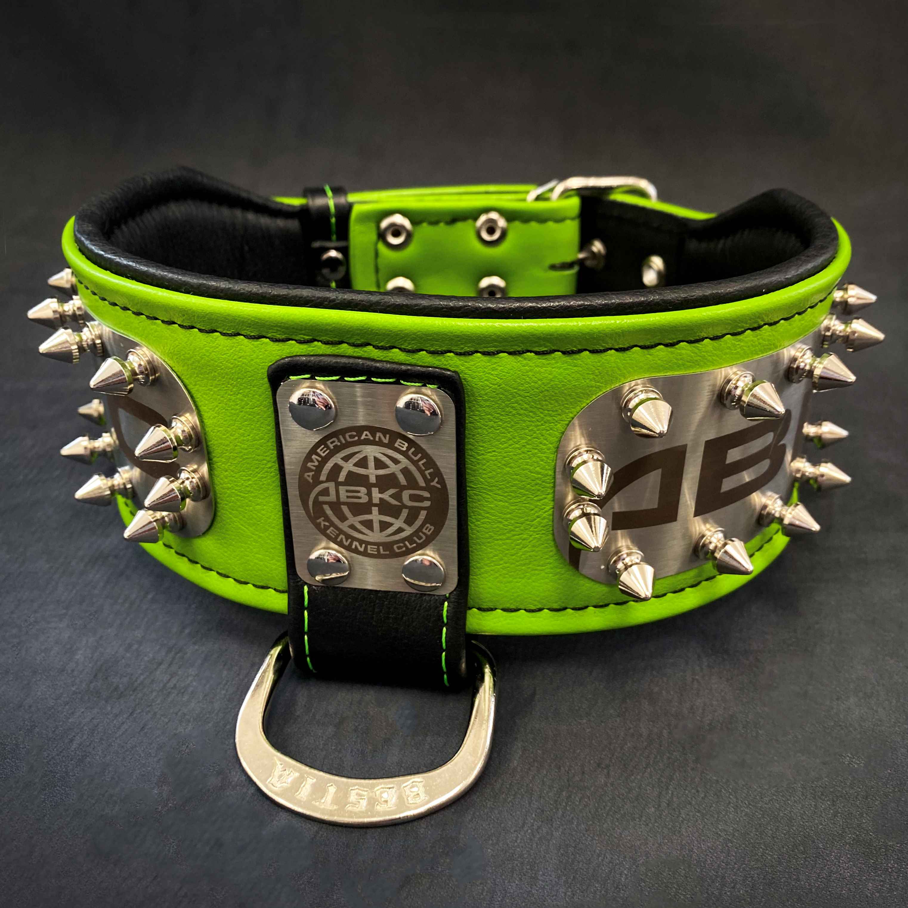 The ABKC Collar fuer Hunde - Bild 5