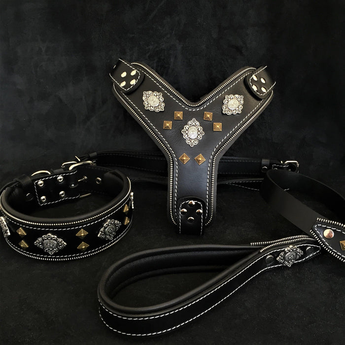Set Aztec de arnés, collar y correa negro para perros grandes