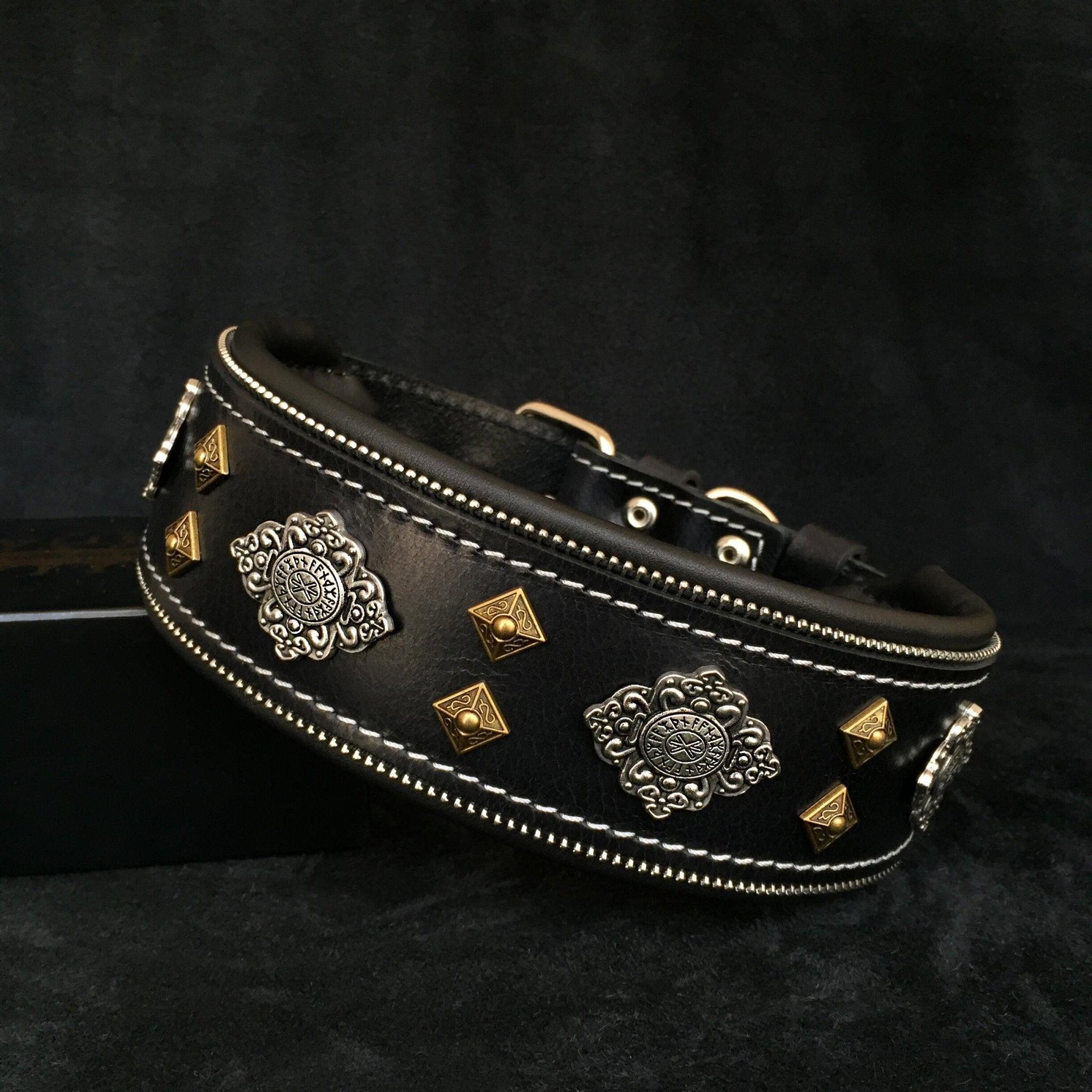 Aztec negro dog para perro