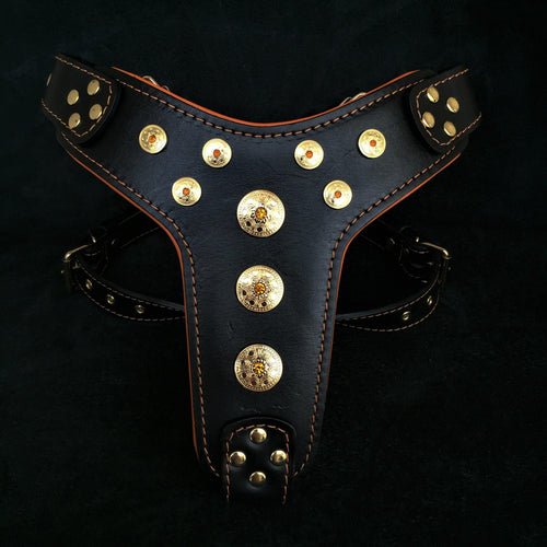 ''Bijou'' harness Black & Orange for big dogs for dogs and cats - image 1