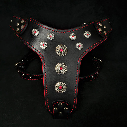 ''Bijou'' harness Black & Red for big dogs per cani - immagine 1
