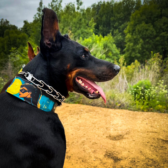 The BCW Limited Collar pour chiens et chats - image 3