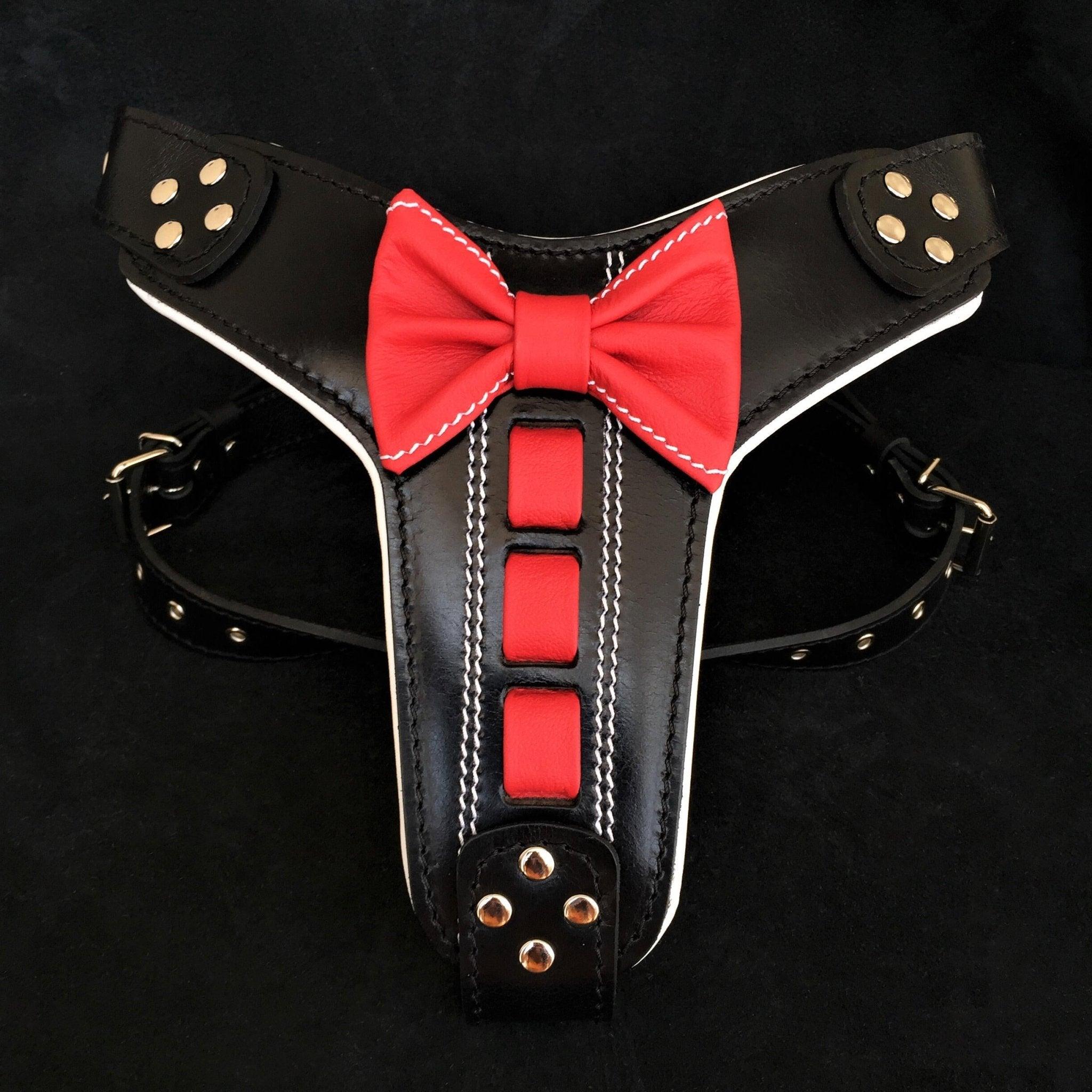 Harnais en cuir Bestia ''Bowtie''