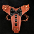 Bestia ''Bowtie'' leather harness pour chiens