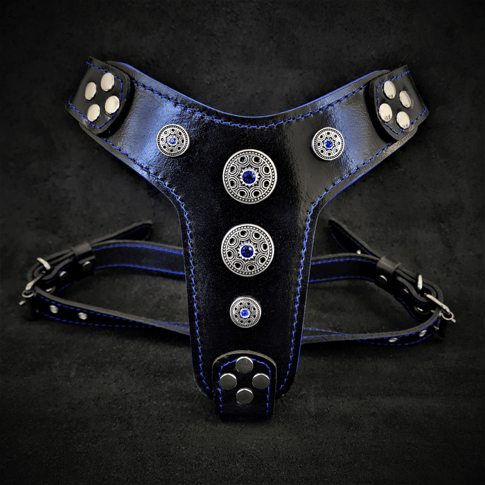 Le harnais ''Bijou'' noir et bleu de petite à moyenne taille