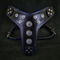 Arnes Bijou negro y azul para perros grandes