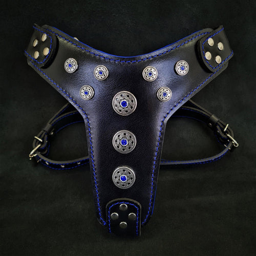 Arnés Bijou negro y azul para perros grandes