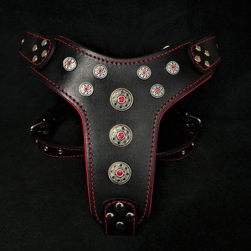 ''Bijou'' harness Black & Red for big dogs per cani - immagine 1
