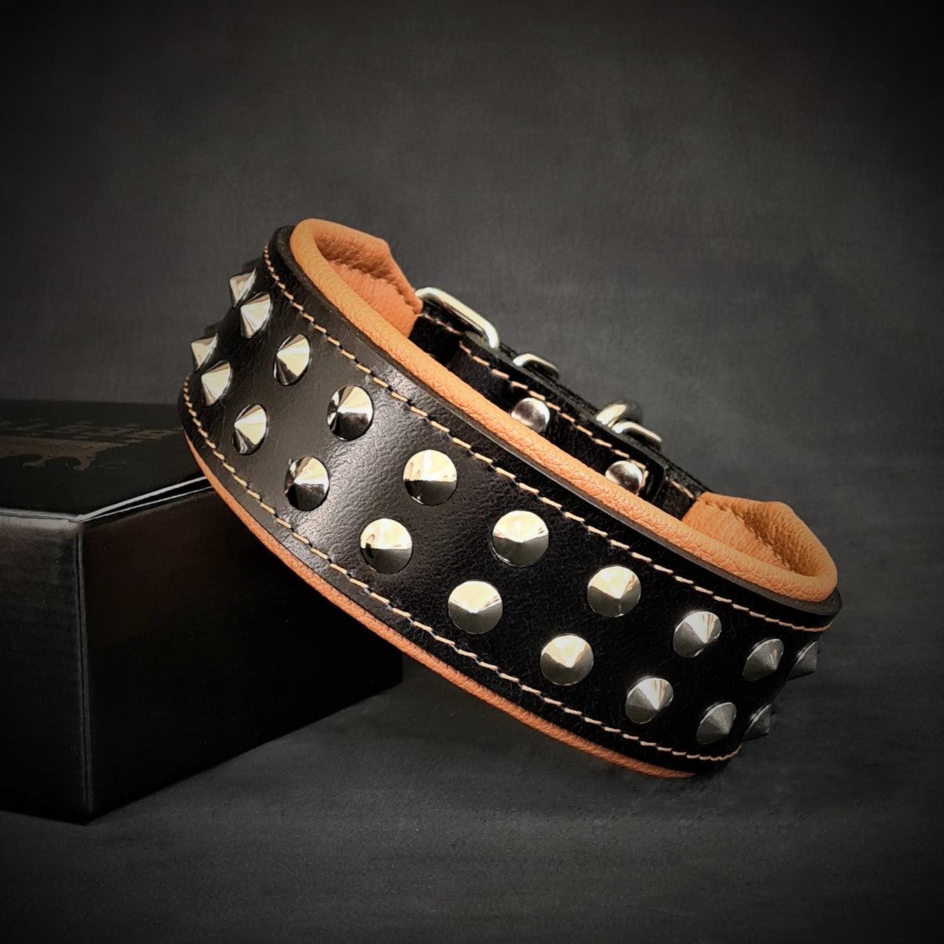 "Boston" collar para perros - imagen 3