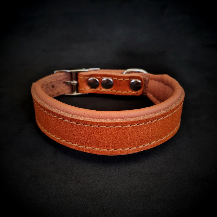 Collar Clean para cachorros