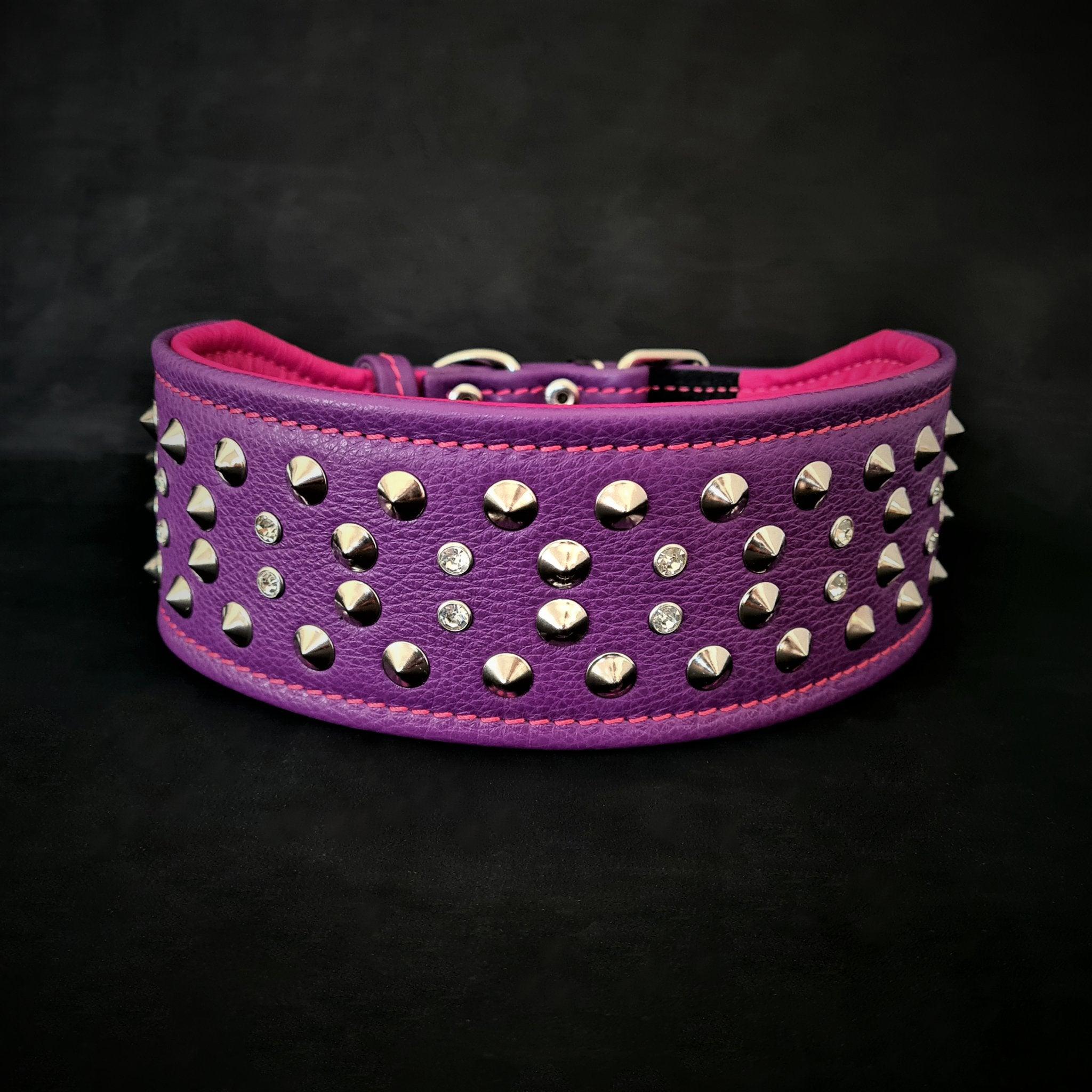 Crystal 2.8 inch wide soft leather para perro