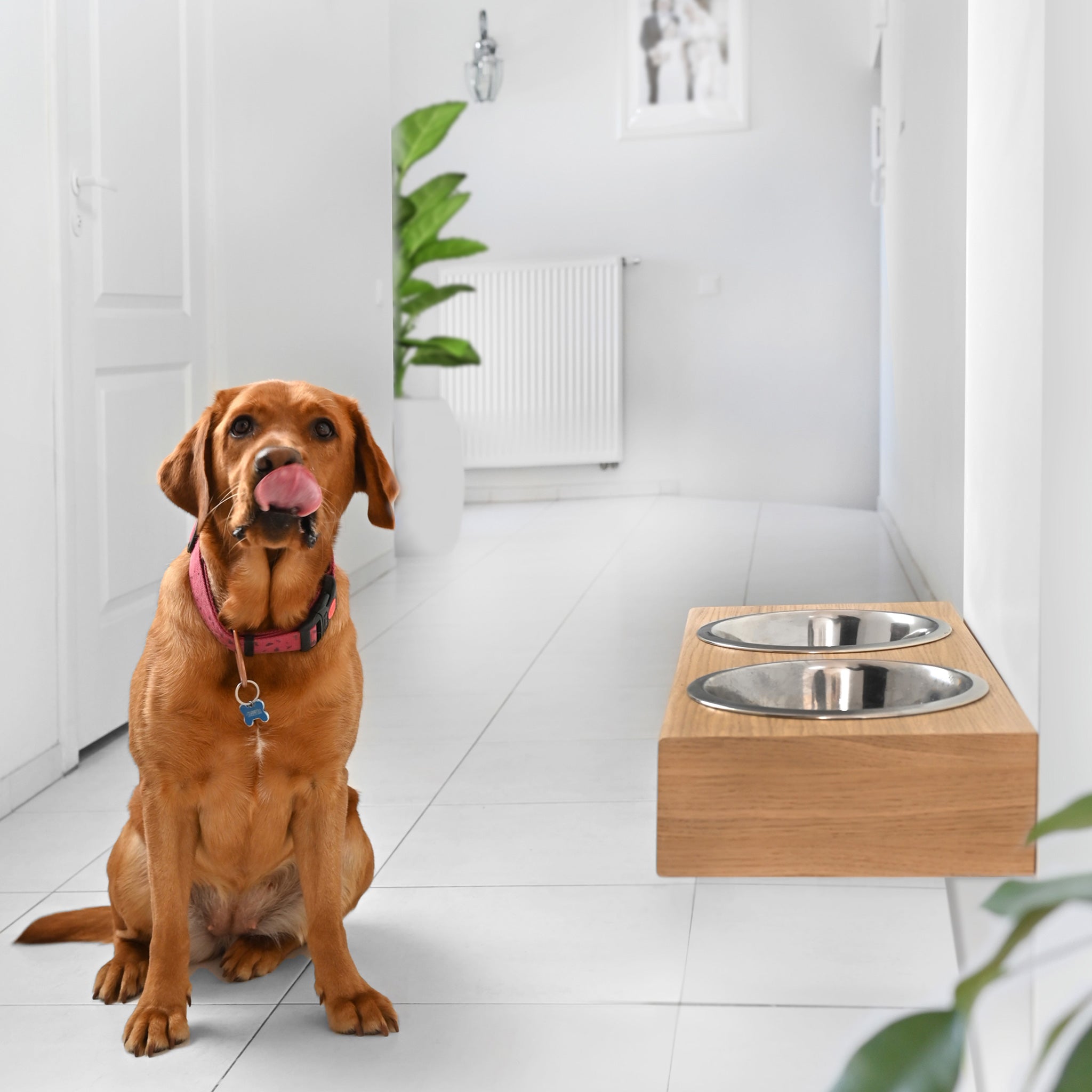 Tragbarer Napf de madera Oak fuer Hunde und Katzen - Bild 5