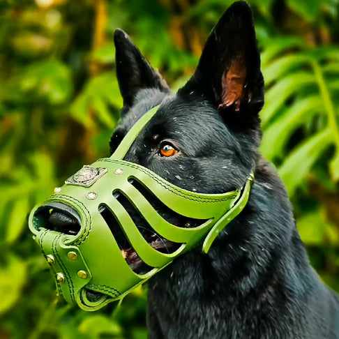 ''Eros'' Basket Muzzle GREEN fuer Hunde - Bild 2