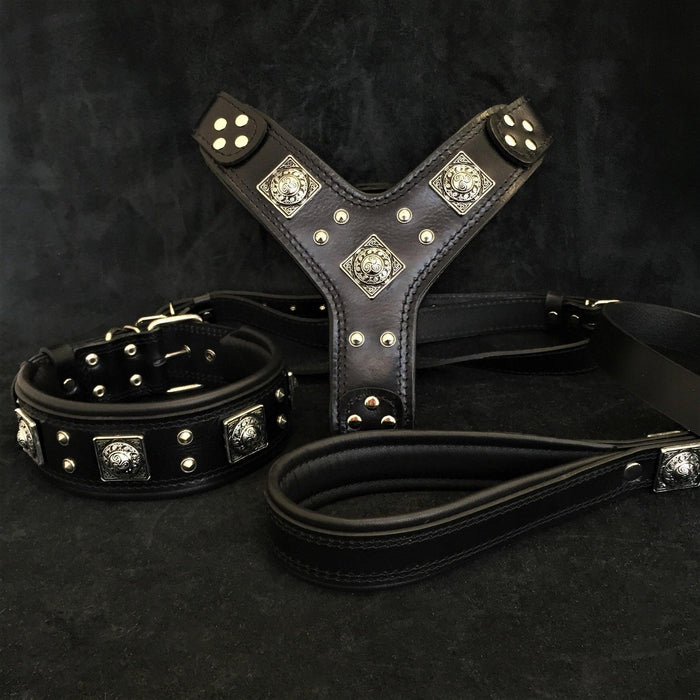 Set EROS grande de arnes, collar y correa noir pour chien