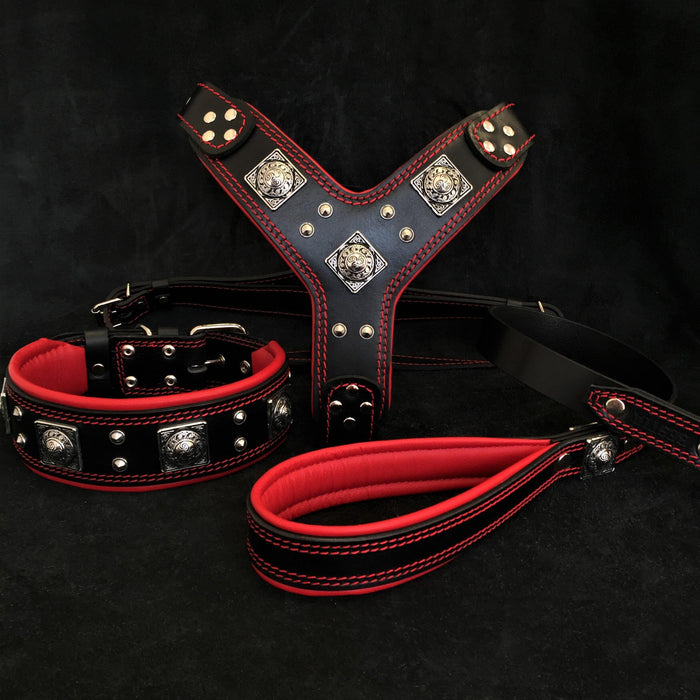 Set EROS grande de arnes, collar y correa noir y rouge pour chien