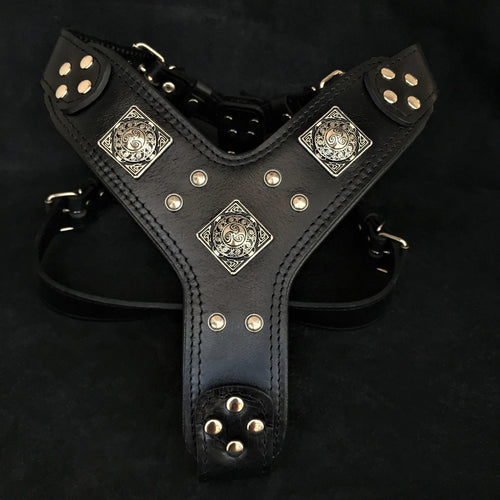 The "Eros" all Black Harness fuer Hunde - Bild 1