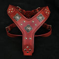 The "Eros" harness RED para perros - imagen 1
