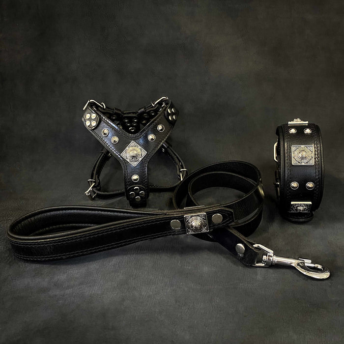 Set Eros de arnés, collar y correa negro para perros, talla S-M