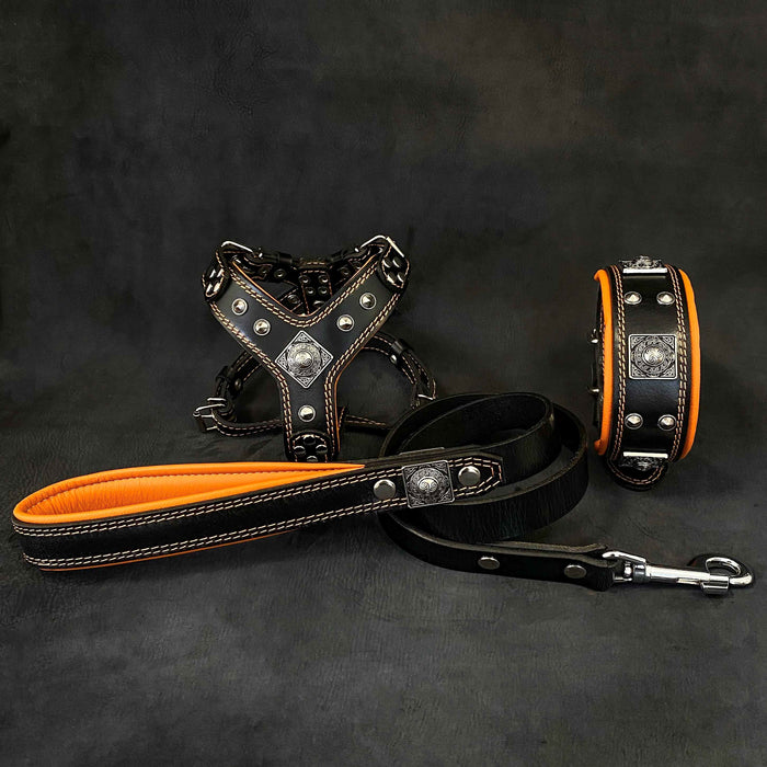 Set Eros de arnés, collar y correa negro y naranja para perros, talla S-M