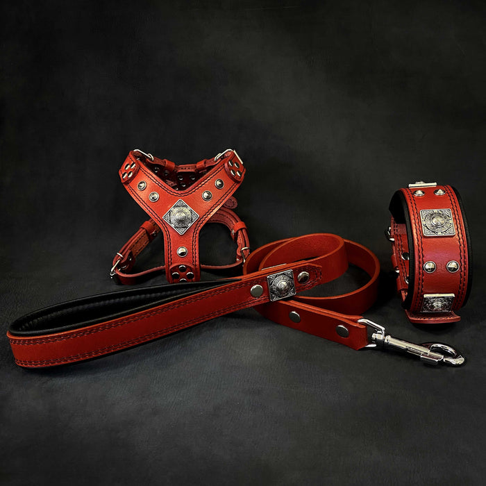 Set Eros de arnés, collar y correa rojo para perros, talla S-M