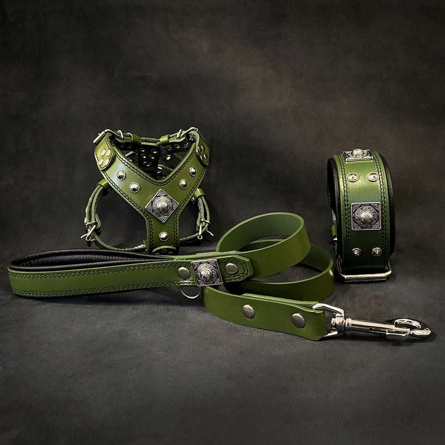 Set EROS pequeno a mediano de arnes, collar y correa verde per cane