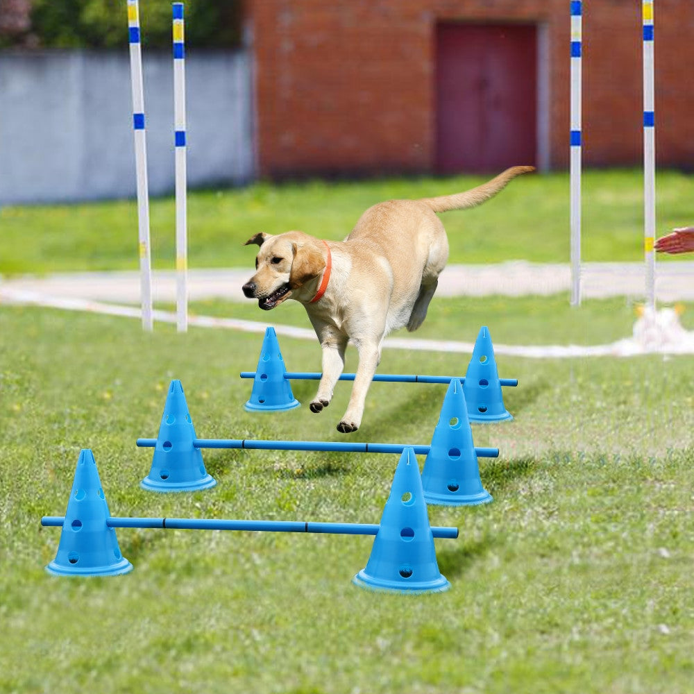 Dogs Agility Equipment pour chiens et chats - image 1