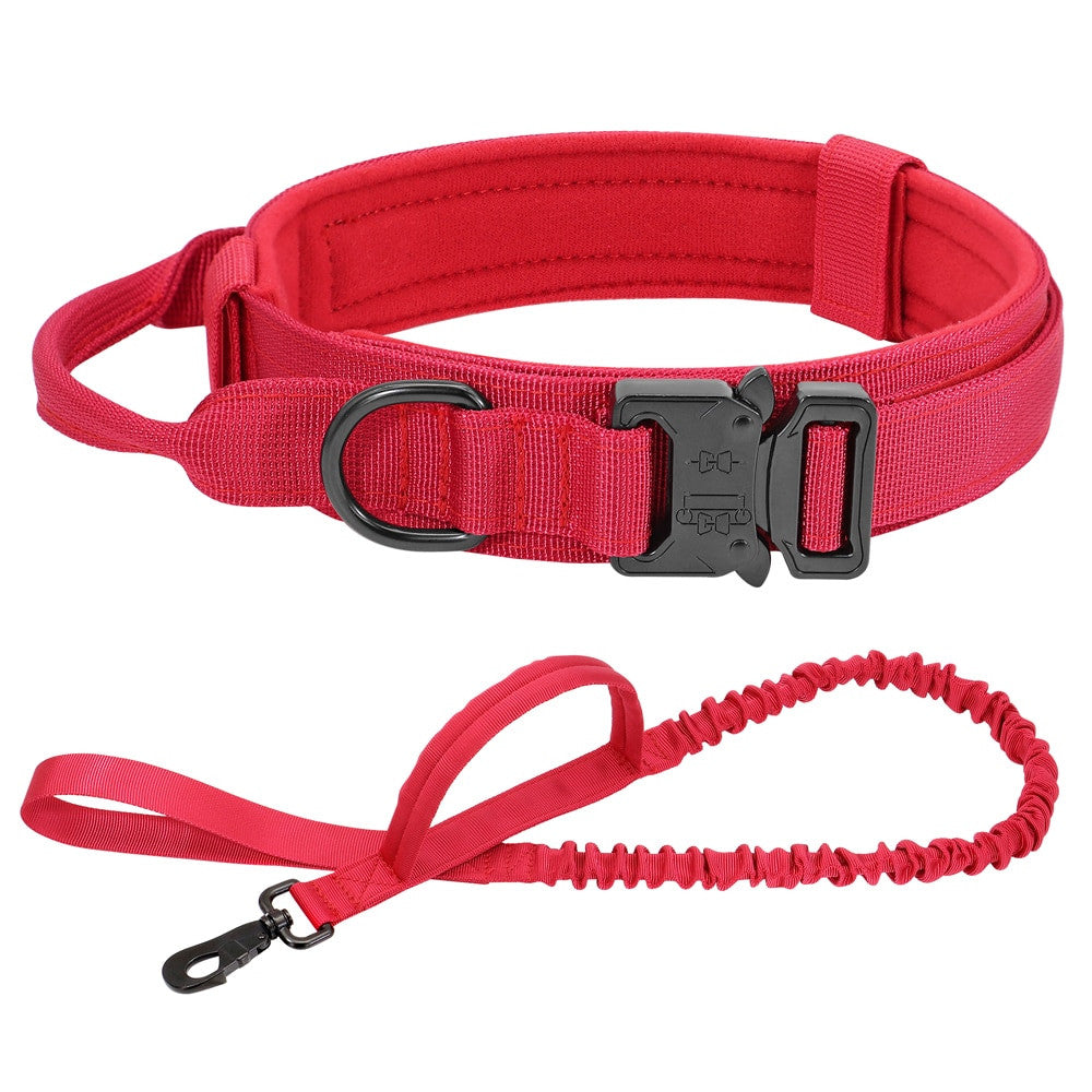Verstellbares Halsband de nylon negro fuer Hunde und Katzen - Bild 11
